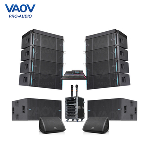 Customized Dual 12 Inch Line Array